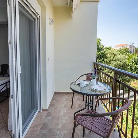 Famelia Lampiris * 波托什