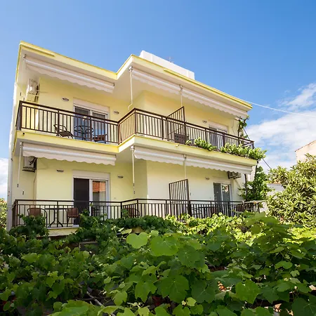 Famelia Lampiris * 波托什