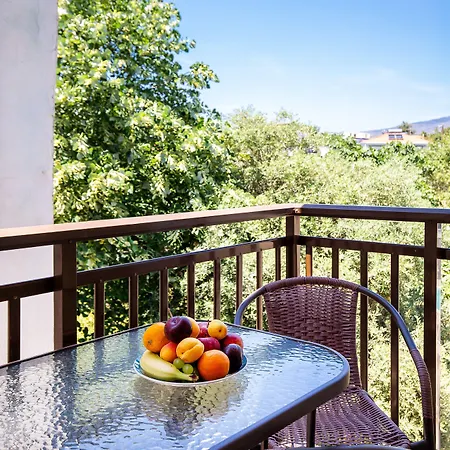 Famelia Lampiris * 波托什