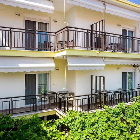 Famelia Lampiris * 波托什