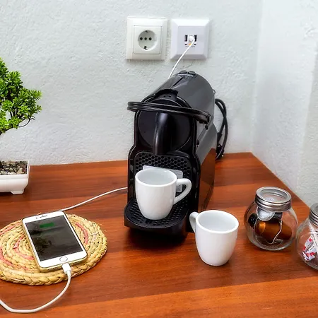 Famelia Lampiris * Potos