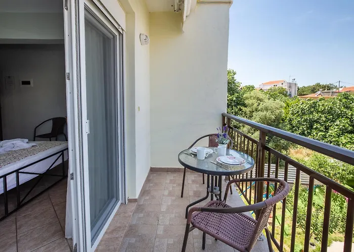 Famelia Lampiris * 波托什