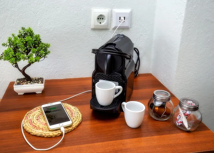 Famelia Lampiris * 波托什