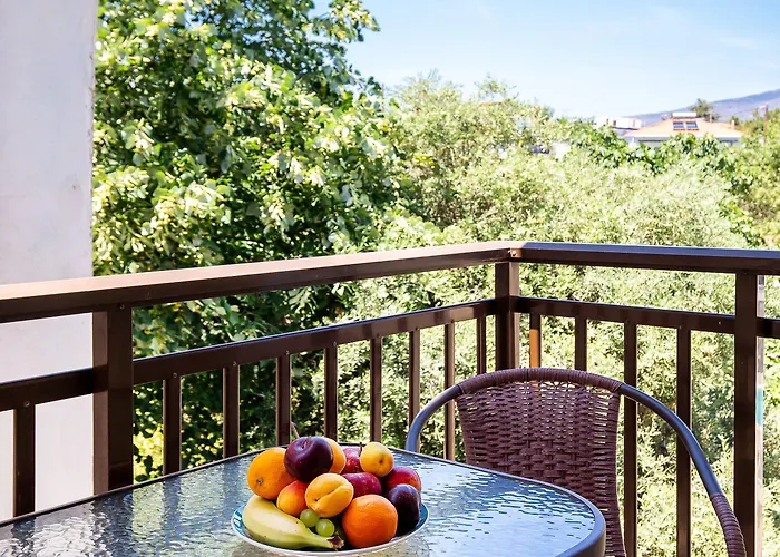 Famelia Lampiris * 波托什